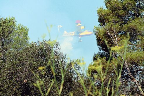 Catalogne : les pompiers des deux pays au coude-à-coude