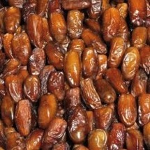 Cerge et le ramadan :Un Koor de rêve