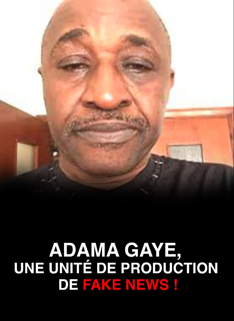 Adama Gaye, une unité de production de fake news !
