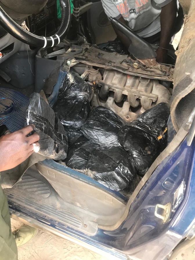 64 kg de chanvre indien et 6 cartons de cuisses de poulet par la Douane de Fatick