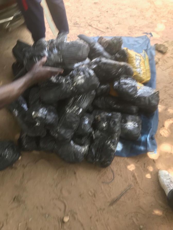 64 kg de chanvre indien et 6 cartons de cuisses de poulet par la Douane de Fatick