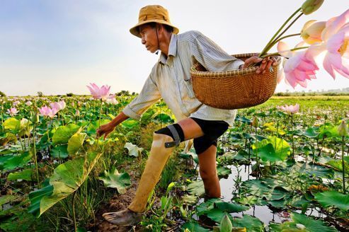 Les trente ans de Handicap International au Cambodge