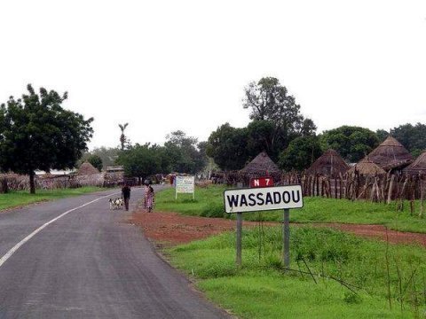 Tambacounda : Les habitants de Wassadou envahissent une partie des 3000 hectares de M.Khayat