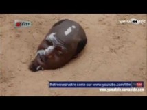 Brigate de polisse avec Per Kou Khar - 13 Août 2012