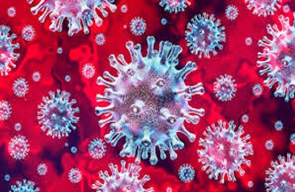 Infos Coronavirus : une femme de 71 ans porte à 26 la liste macabre