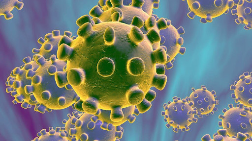 Mbour - Premier cas de coronavirus enregistré à Fissel: Les détails !