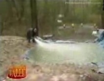 Un trou rempli d'eau dans la forêt