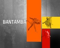 Bantamba du Mardi 04 Septembre 2012 - (2STV )