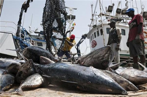 Permis de pêche: le « niet » du Sénégal à des dizaines de bateaux étrangers