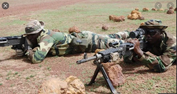 Forêt de Bissine en Casamance: L’Armée organise la risposte aux poseurs de mines