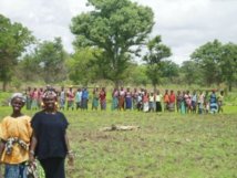Le Pafa a fait reculer la faim selon des producteurs du Saloum
