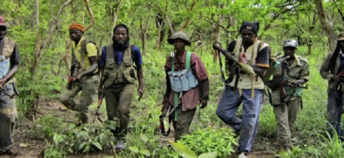 Processus de paix en Casamance: Une partie du Mfdc dépose les armes
