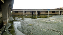 La rentrée scolaire dans les eaux.