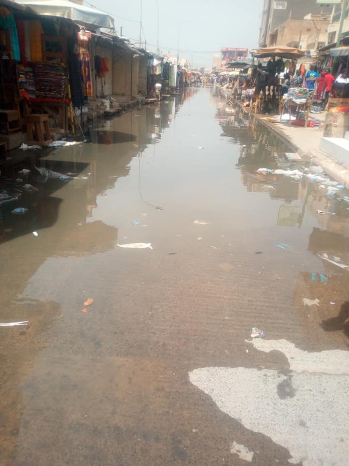 Covid -19 / Marché HLM: L'insoutenable spectacle des eaux usées 