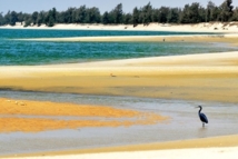 Boulimie foncière, boom immobilier sans cohérence, anarchies en tout genre…  Le littoral au bord de l’asphyxie