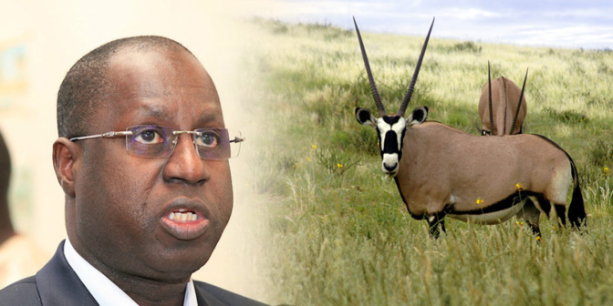 Affaire des « gazelles d’Abdou Karim Sall »: Les journalistes convoqués à la DIC, libérés