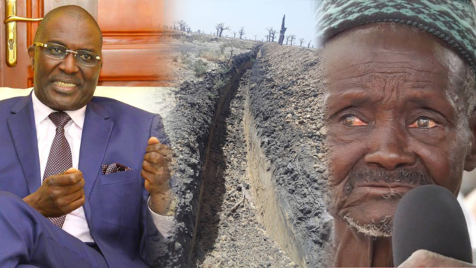 Ndingler / Babacar Ngom: « Sedima a 225 hectares sur les 300 hectares souhaités »