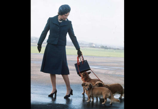 Elisabeth II et ses corgis: la passion d'une vie