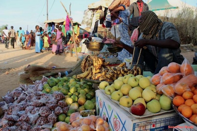 Impact Covid-19: Diaobé perd 5 milliards FCfa en deux mois