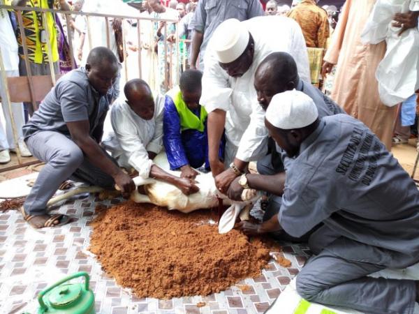 La Tabaski sera célébrée le 31 juillet (Association des Imams et Oulémas)