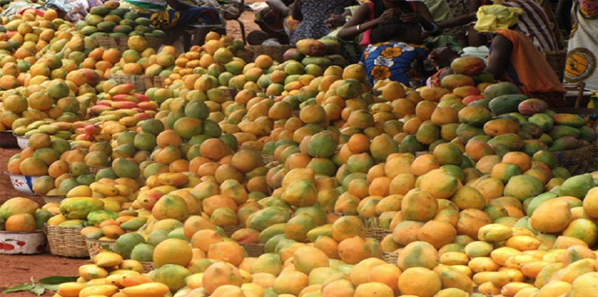 Journée de la Mangue du Sénégal