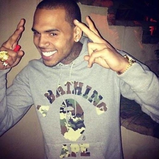 Chris Brown homophobe