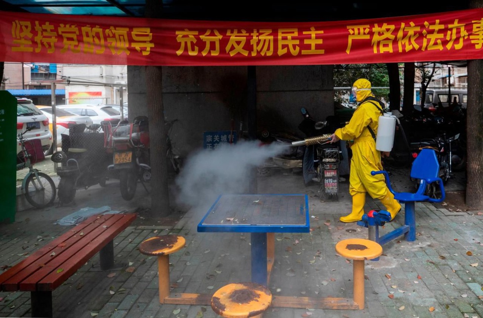 Chine : un village placé en quarantaine après un cas mortel de peste Bubonique !
