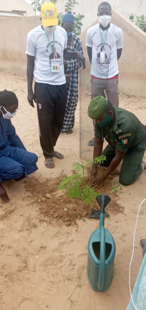 L'Association des jeunes de Padé  a célébré la Journée nationale de l'Arbre sous le haut parrainage de Ibrahima Sall, économiste et président du MODEL