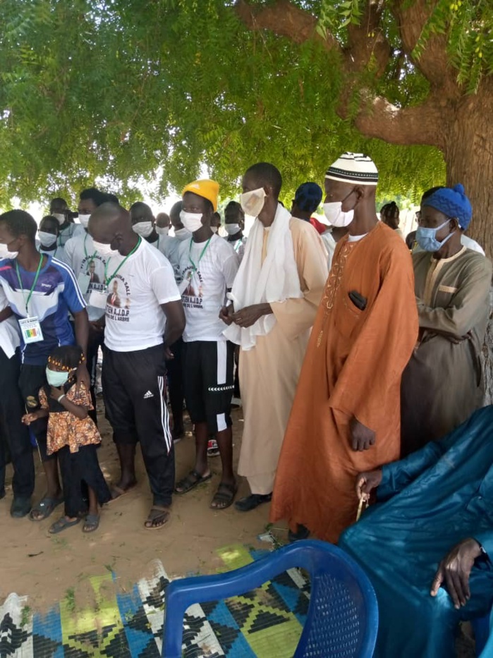 L'Association des jeunes de Padé  a célébré la Journée nationale de l'Arbre sous le haut parrainage de Ibrahima Sall, économiste et président du MODEL