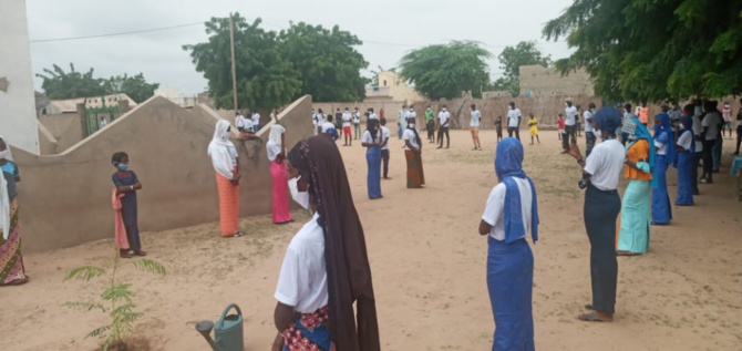 L'Association des jeunes de Padé  a célébré la Journée nationale de l'Arbre sous le haut parrainage de Ibrahima Sall, économiste et président du MODEL