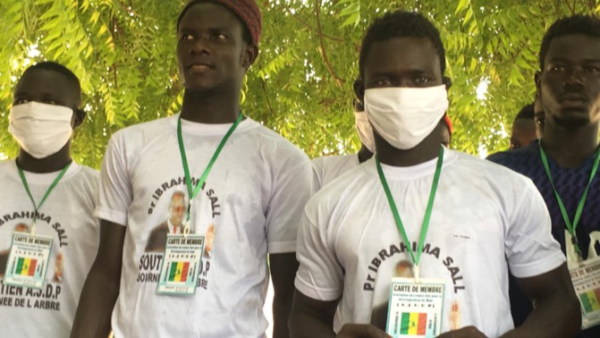 L'Association des jeunes de Padé  a célébré la Journée nationale de l'Arbre sous le haut parrainage de Ibrahima Sall, économiste et président du MODEL