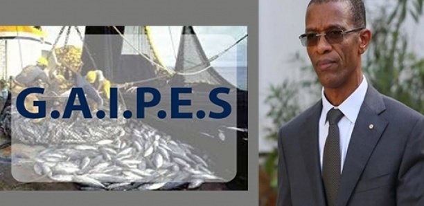 Demande de licences de pêche de Sopasen: le ministre Alioune Ndoye fait le mort