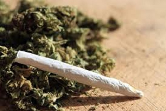 lutte contre le trafic de  stupéfiants :  108 kg de drogue saisis entre le Centre et le Sud du pays en 48h