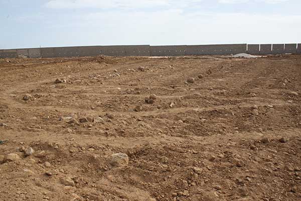 Litige foncier au Sénégal/ Actionaide : « Plus de 800.000 ha de terres feraient objet d’accaparement»