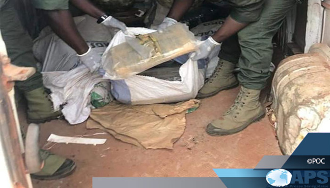 Sédhiou: 84 kg de cannabis saisis à la berge du fleuve de Karantaba