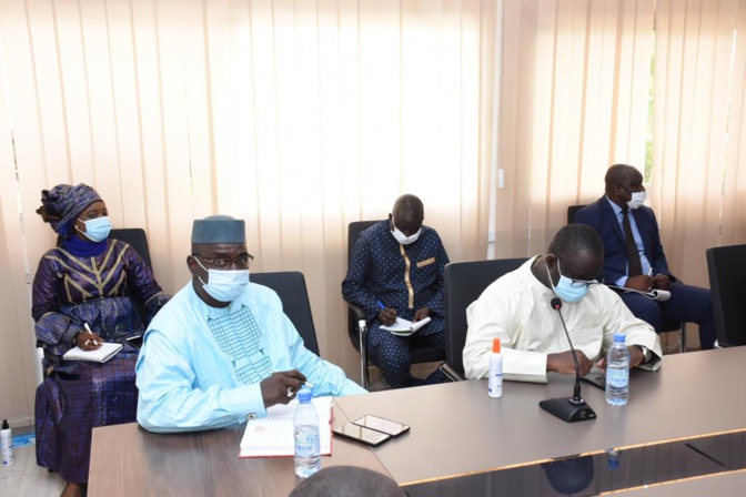 Pour une reforestation durable et inclusif du territoire national: 20 millions d’arbres seront plantés pour cette année Pour une reforestation durable et inclusif du territoire national: 20 millions d’arbres seront plantés pour cette année