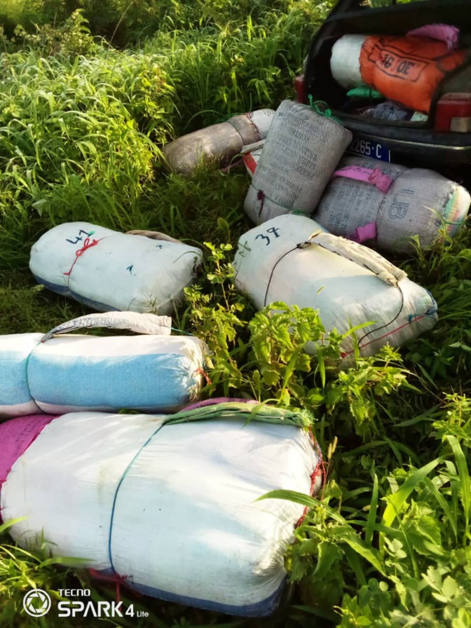 LUTTE CONTRE LE TRAFIC INTERNATIONAL DE STUPEFIANTS: 456 kg de chanvre indien saisis en 24h par la subdivision des Douanes de Fatick