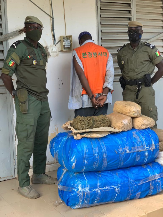 Douane: 108 kg de chanvre indien saisis au Centre et au Sud du pays
