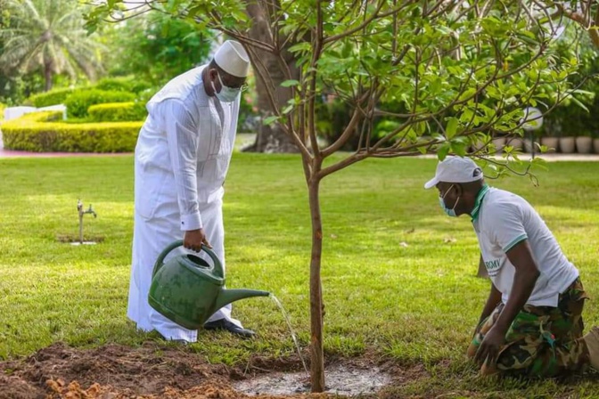 Reboisement - Macky Sall a planté son 5ème arbre depuis qu'il est au Palais (photos) Reboisement - Macky Sall a planté son 5ème arbre depuis qu'il est au Palais (photos)