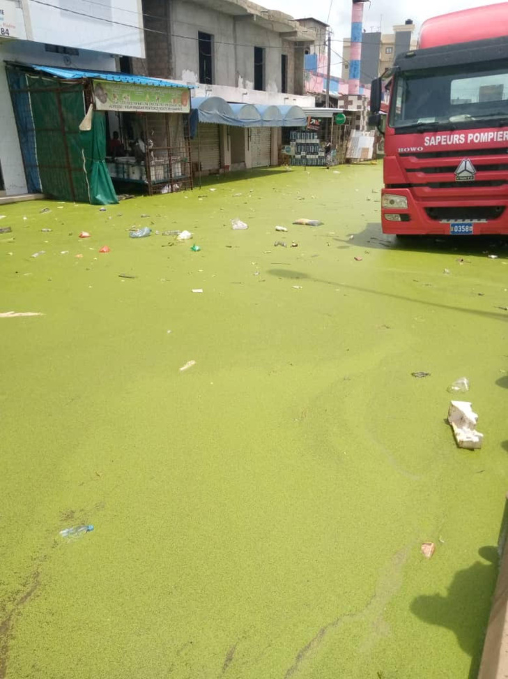 PHOTOS: Images de la tournée de la délégation du Pds en banlieue dakaroise