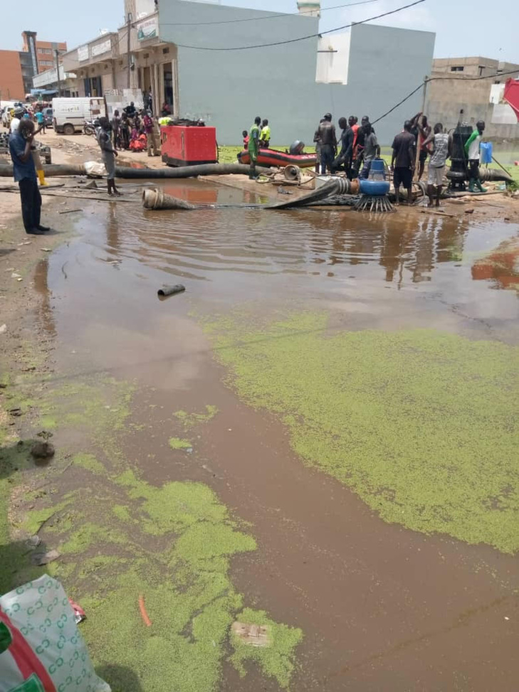 PHOTOS: Images de la tournée de la délégation du Pds en banlieue dakaroise