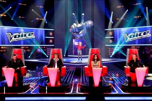 The Voice, La plus belle voix sur TF1 : claire, ex membre des L5, recalée aux auditions