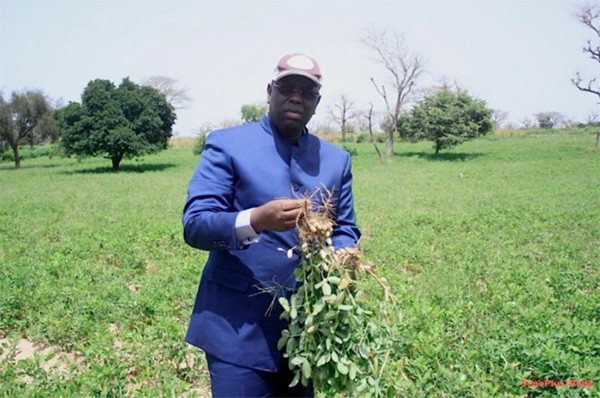 Tournée agricole: Macky Sall à Kaolack, Fatick et Kaffrine du 19 au 21 septembre 2020