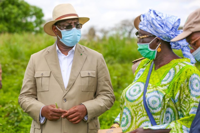 Tournée économique de Macky Sall: En images, l'étape de Sibassor Tournée économique de Macky Sall: En images, l'étape de Sibassor