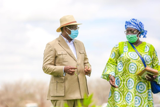 Tournée économique de Macky Sall: En images, l'étape de Sibassor Tournée économique de Macky Sall: En images, l'étape de Sibassor