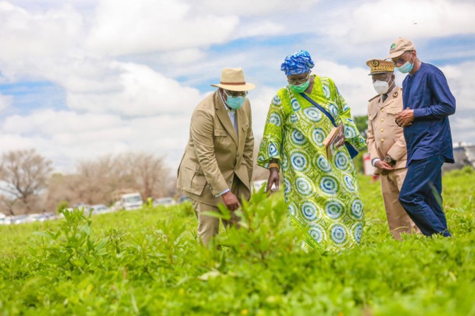 Tournée économique de Macky Sall: En images, l'étape de Sibassor Tournée économique de Macky Sall: En images, l'étape de Sibassor