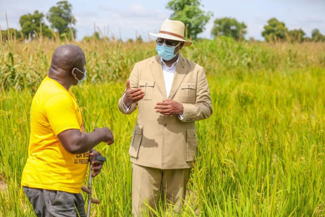 Macky Sall à Keur Socé: Visite des champs de la COPAR de 8 500 ha (Photos)