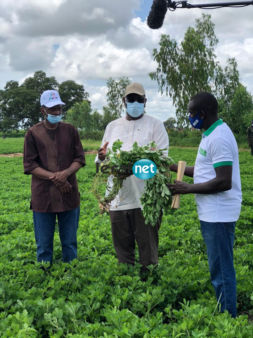 VIDEO - Macky Sall rend visite aux populations de Nioro du Rip 