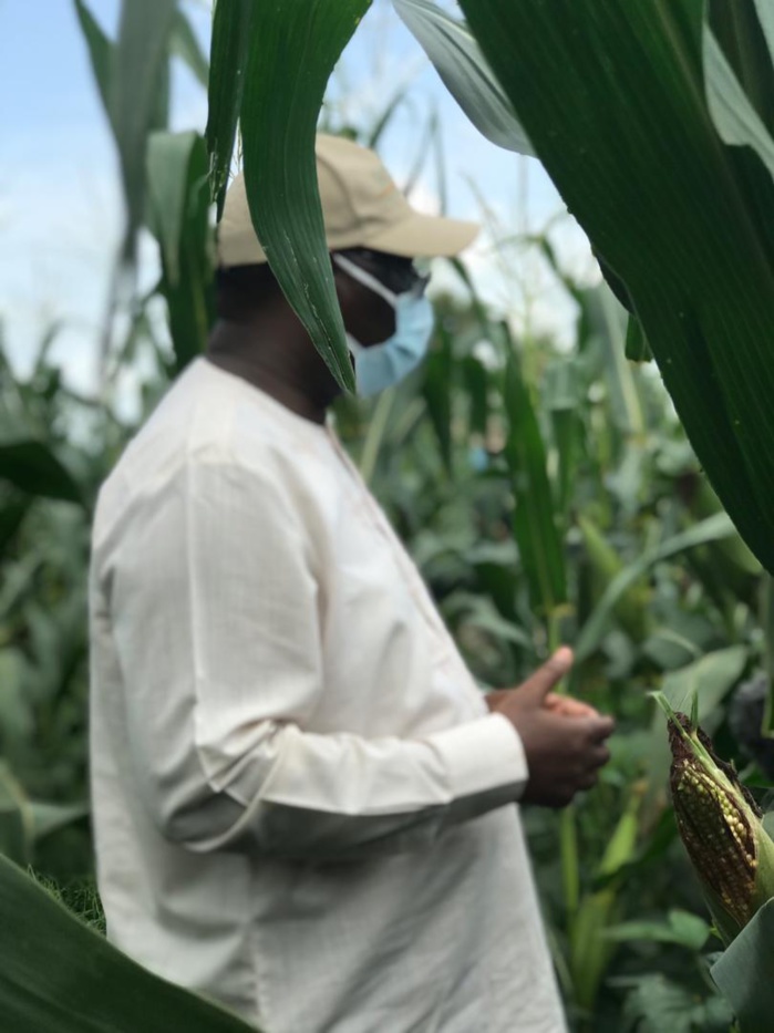 VIDEO+PHOTOS/ Visite économique: Le Président Macky Sall sur les routes du Nioro en direction des champs
