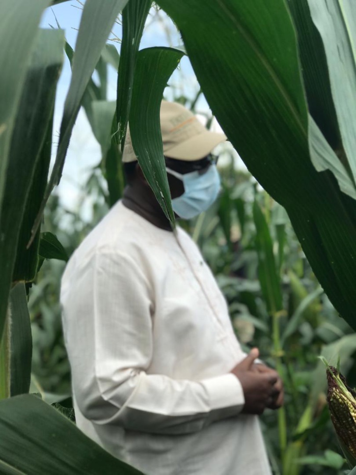 VIDEO+PHOTOS/ Visite économique: Le Président Macky Sall sur les routes du Nioro en direction des champs